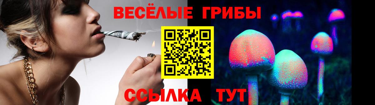 Галлюциногенные грибы Cubensis  Вход с VPN  Тосно 